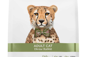 Adult Cat - Divine Rabbit
